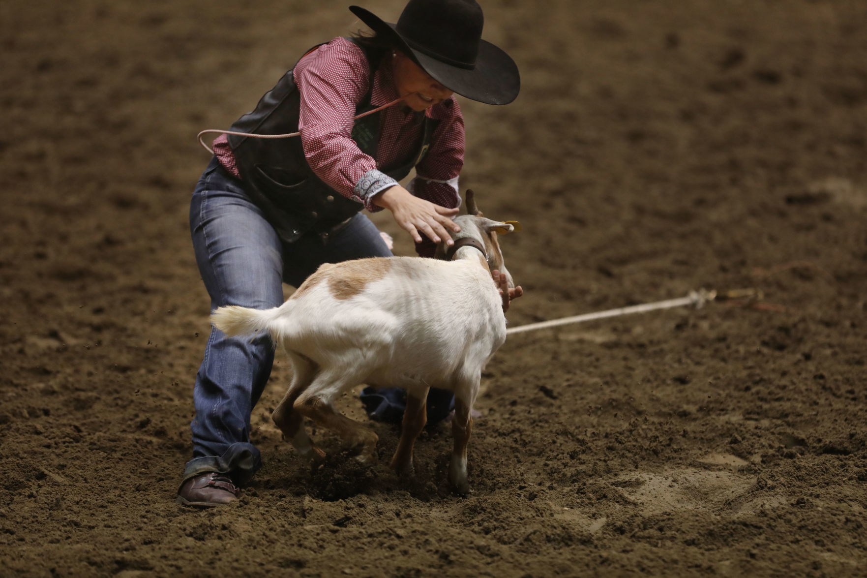 CNFR: Friday